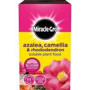 MIRACLE GRO ERICACEOUS SOLUBLE PLANT FOOD 1kg